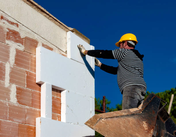 Best Geographic-Specific Insulation Services in Hawthorne, NV