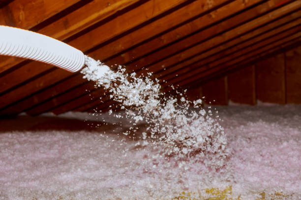 Professional Insulation Contractor in Hawthorne, NV