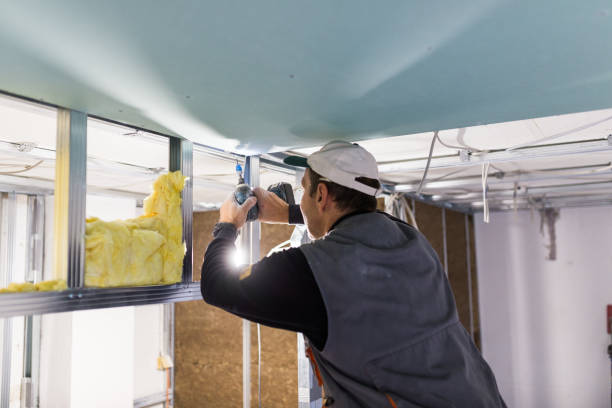 Best Eco-Friendly Insulation in Hawthorne, NV