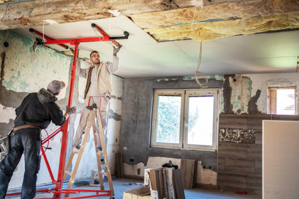 Best Insulation Maintenance and Repair in Hawthorne, NV