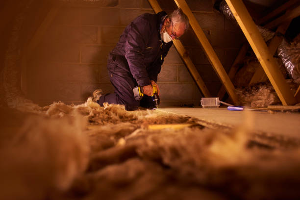 Best Insulation Maintenance and Repair in Hawthorne, NV