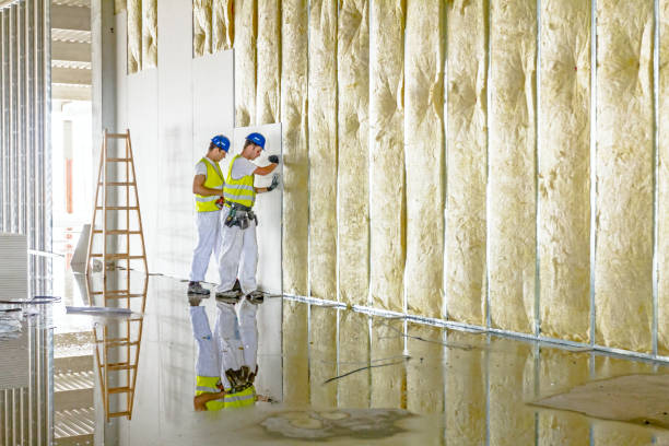 Best Residential Insulation in Hawthorne, NV
